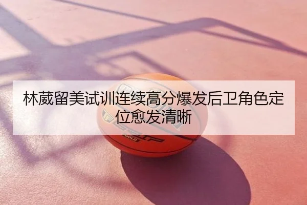 林葳留美试训连续高分爆发后卫角色定位愈发清晰
