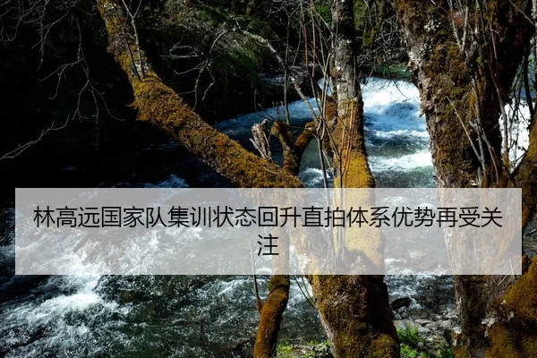 林高远国家队集训状态回升直拍体系优势再受关注